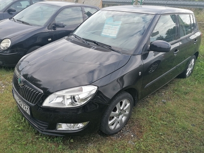 Skoda Fabia II 1.6TDI