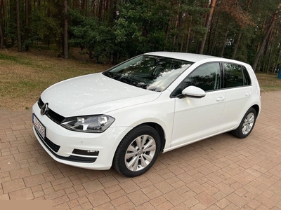 Volkswagen Golf VII 1.6 TDI 110KM BlueMotion Comfortline 2017r