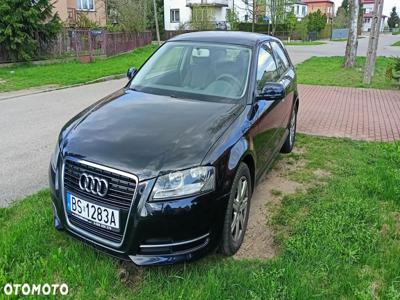 Audi A3 1.6 TDI DPF Ambiente