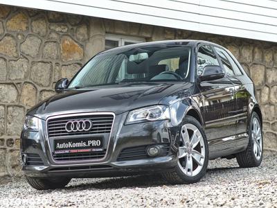 Audi A3 1.9 TDI DPF Ambiente