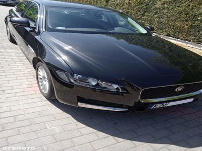 Jaguar XF 2.0 i4D Pure