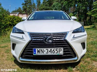 Lexus NX 300 Business Edition AWD