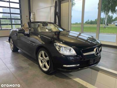 Mercedes-Benz SLK 250 (BlueEFFICIENCY) 7G-TRONIC CarbonLOOK Edition