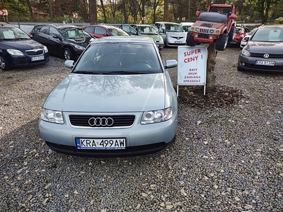 Audi A3 8L Hatchback 1.6 i 102KM 2002