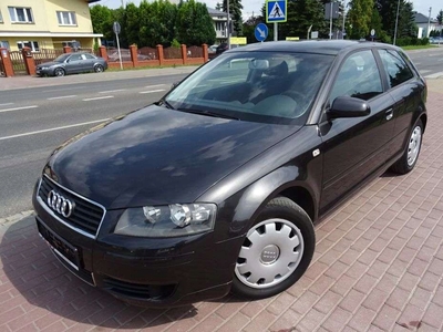 Audi A3 8L Hatchback 1.6 i 102KM 2003