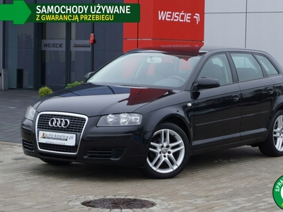 Audi A3 8P Hatchback 3d 1.6 102KM 2008