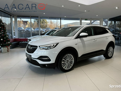 Opel Grandland X Innovation, NAVI, SalonPL, FV23%, Gwarancj…