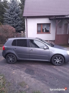 Volkswagen Golf V 1.9TDI