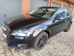 AUDI A3 8P 1.6 MPI. 2009. ALU 17. Super stan! Od właściciela!