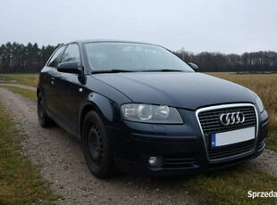 Audi A3 Audi A3 8P 2,0 Benzyna Tanio - Możliwa Zamiana 8P (2003-2012)