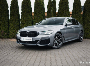 BMW Seria 5 20d, xDrive, Salon PL, I Wł., Bezwypadkowy, Gwar