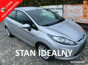 Ford Fiesta Dynamiczny silnik, 5 drzwi, klimatyzacja, isofix, podg. szyba …