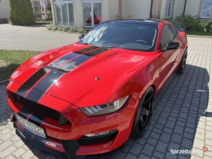 Ford mustang gt350 v8 shelby