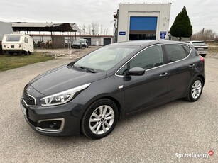 Kia Ceed 1.4 BENZYNA Klimatronik Tempomat Ledy Nawigacja Kamera Pakiet Zima