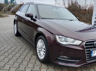 SPORTBACK * SKÓRA * NAVI * BURGUND * ZAREJESTROWANY * HAK