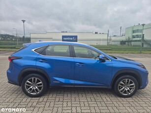 Używany Lexus NX 2018