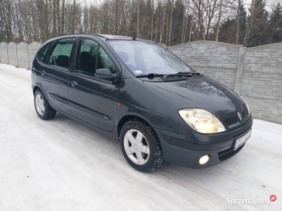 Renault Scenic 1.4 16V zarejestrowany 2002r