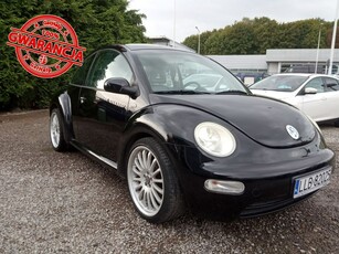 Volkswagen New Beetle