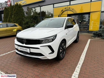 Opel Grandland X 1.2 benzyna 130 KM 2023r. (Giżycko)