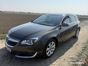 Opel Insignia 2.0Cdti 170km Świeżo Sprowadzona, *Niski Przebieg*