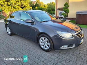 Opel Insignia Inne