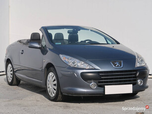 Peugeot 307 2.0 16V