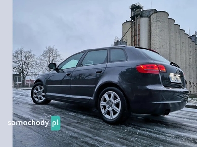 Audi A3 8P