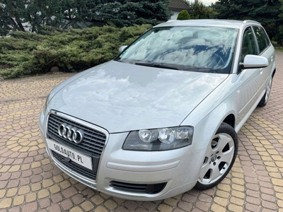 Audi A3 8P Hatchback 3d 1.9 TDI 105KM 2005