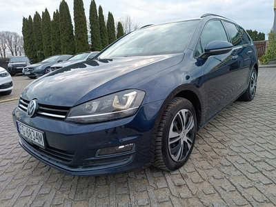 Volkswagen Golf VII Variant 2.0 TDI CR DPF BlueMotion Technology 150KM 2014