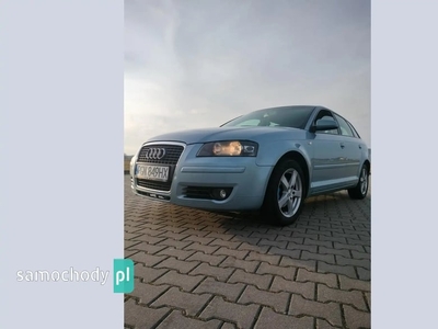 Audi A3 8P