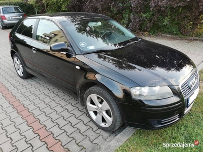 Audi a3 8p 1.9 tdi 105km 2006r. fabrycznie bez DPF, 3-drzwi