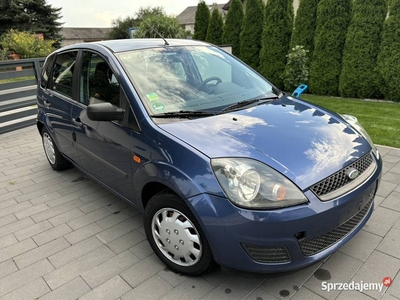 Ford Fiesta MK6 1.4 benzyna 2005r. z Niemiec - po opłatach