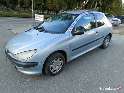 Peugeot 206 benzynka 1.1 opłaty do 2025