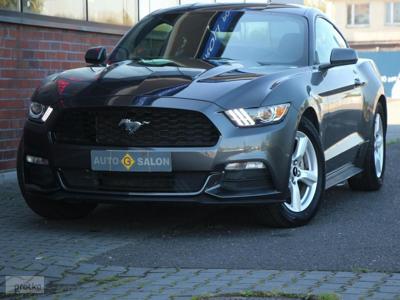 Ford Mustang VI 305KM*Automat*Xenon*Led*Kamera*Alu*Komp*Temp*Klimatyzacja !!!