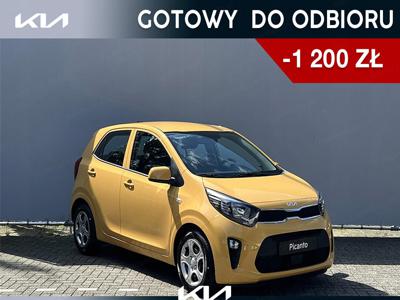 Kia Picanto III Hatchback 5d Facelifting 1.0 DPI 67KM 2023