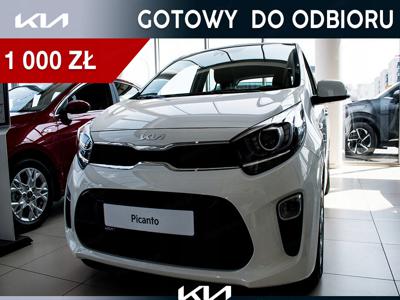 Kia Picanto III Hatchback 5d Facelifting 1.2 DPI 84KM 2023