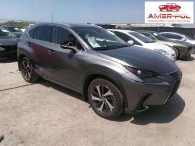 Lexus NX I 2020