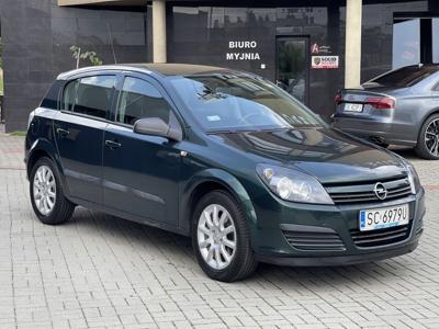 Opel Astra H Hatchback 5d 1.4 TWINPORT ecoFLEX 90KM 2004