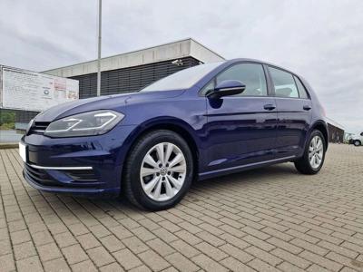 Volkswagen Golf VII Hatchback 3d Facelifting 1.6 TDI-CR DPF BMT 115KM 2019