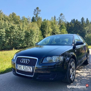 SPRZEDAM AUDI A3 8P 1.6MPI LPG