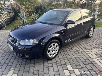 Audi A3 8P 1,6 LPG