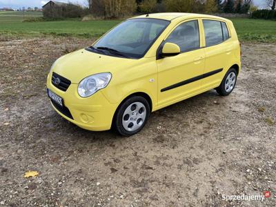 Kia Picanto 1.1 benzyna 65 KM