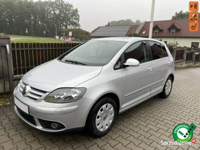 Volkswagen Golf Plus 1,6 mpi zarejestrowany 102 ps I (2004-…