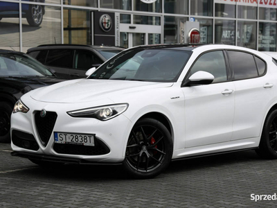 Alfa Romeo Stelvio Krajowy, bezwypadkowy, serwisowany, 1 wł…