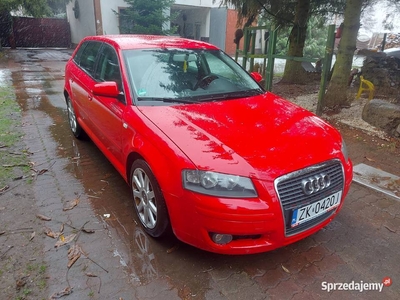 Audi a3 2,0 tdi 5 drzwi