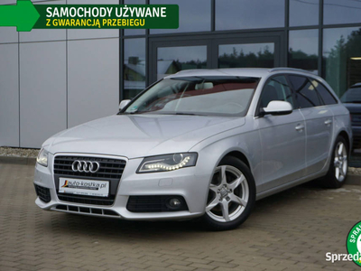 Audi A4 Xenon, LED, Grzane fotele, Navi, Alu, Tempomat, GWA…