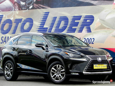 Lexus NX Salon, 1 wł., AWD, Bogata Wer., Serwis ASO, GWARAN…