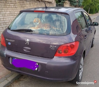 Peugeot 307, 2.0 HDI