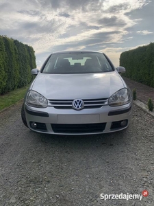 VW Golf V 2.0 tdi