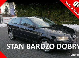 Audi A3 1.6mpi Stan Idealny 100%bezwypadkowy z Niemiec Gwarancja 12mcy 1wł…